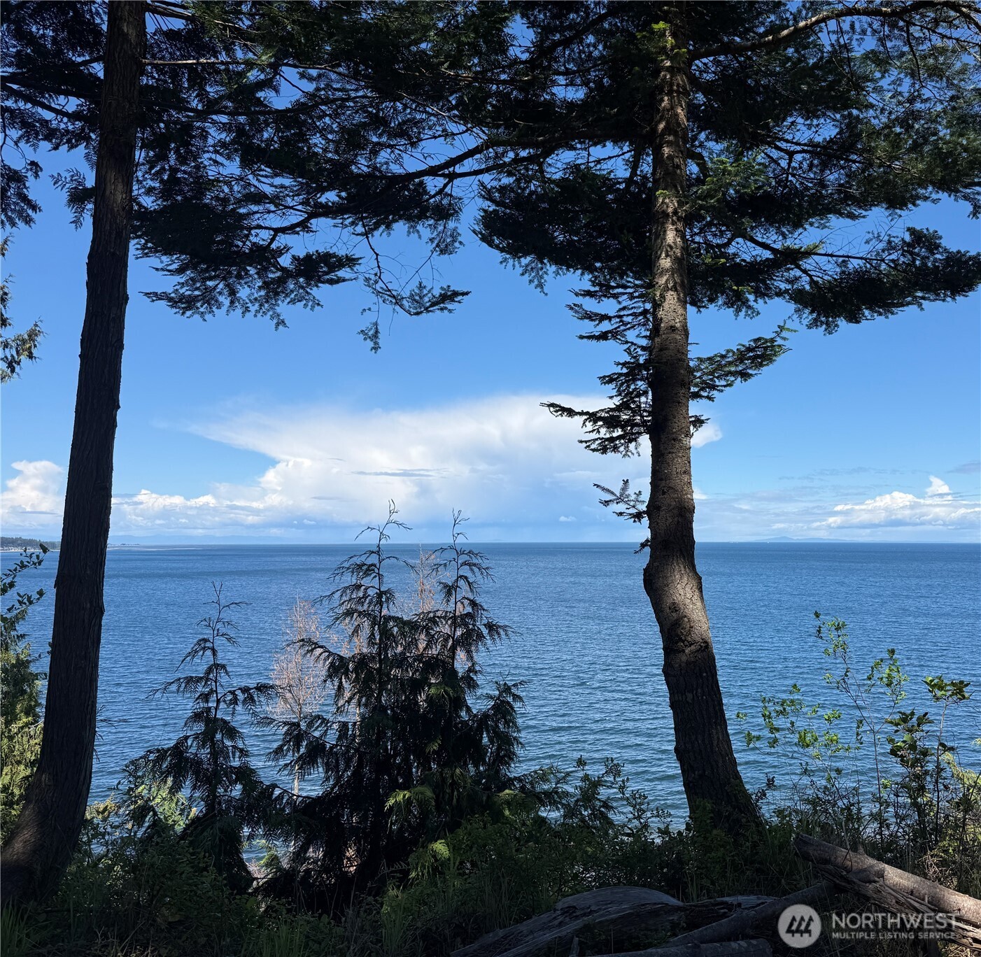 442 Buck Loop Road Sequim WA 98382