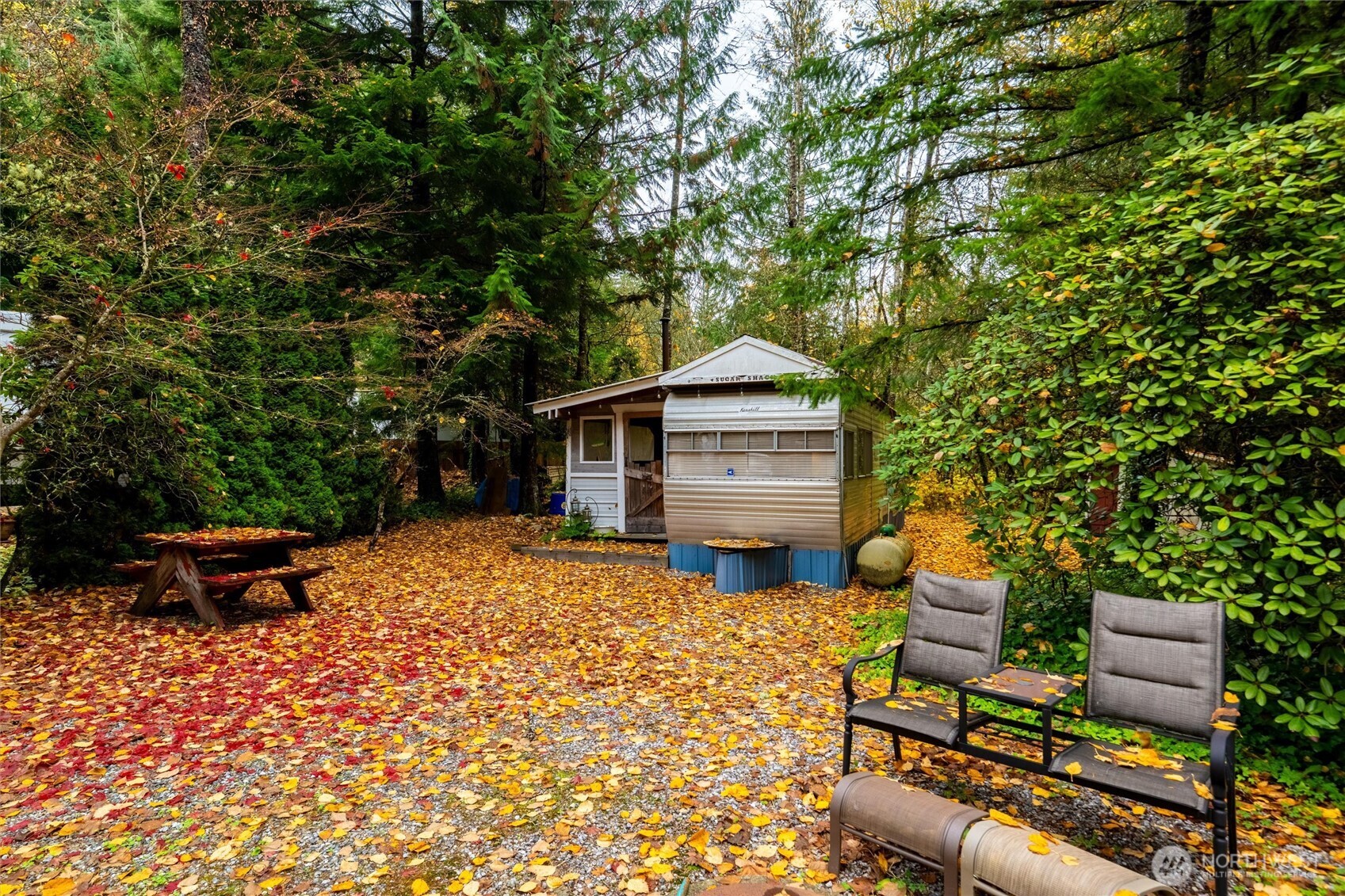 1017 Maple Lane Sumas WA 98295