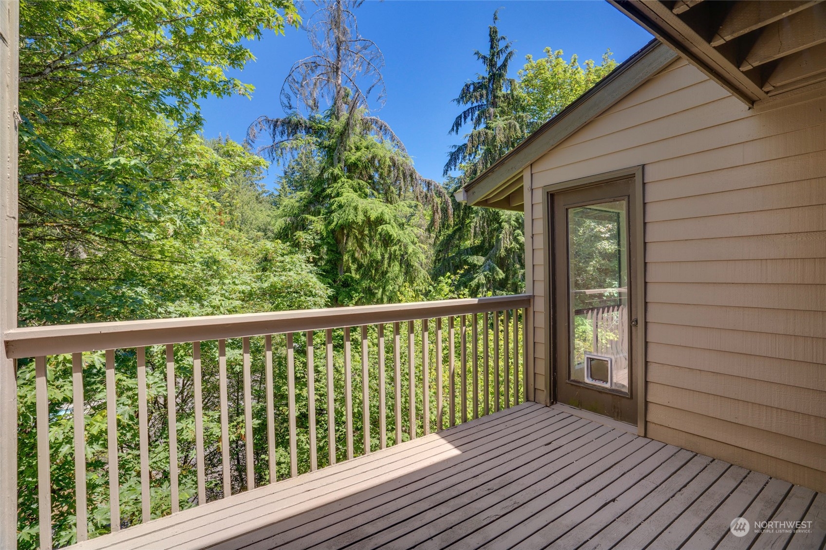 126 168th Avenue NE Bellevue WA 98008