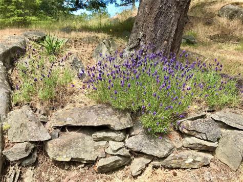 177 Vista Place Stuart Island WA 98250