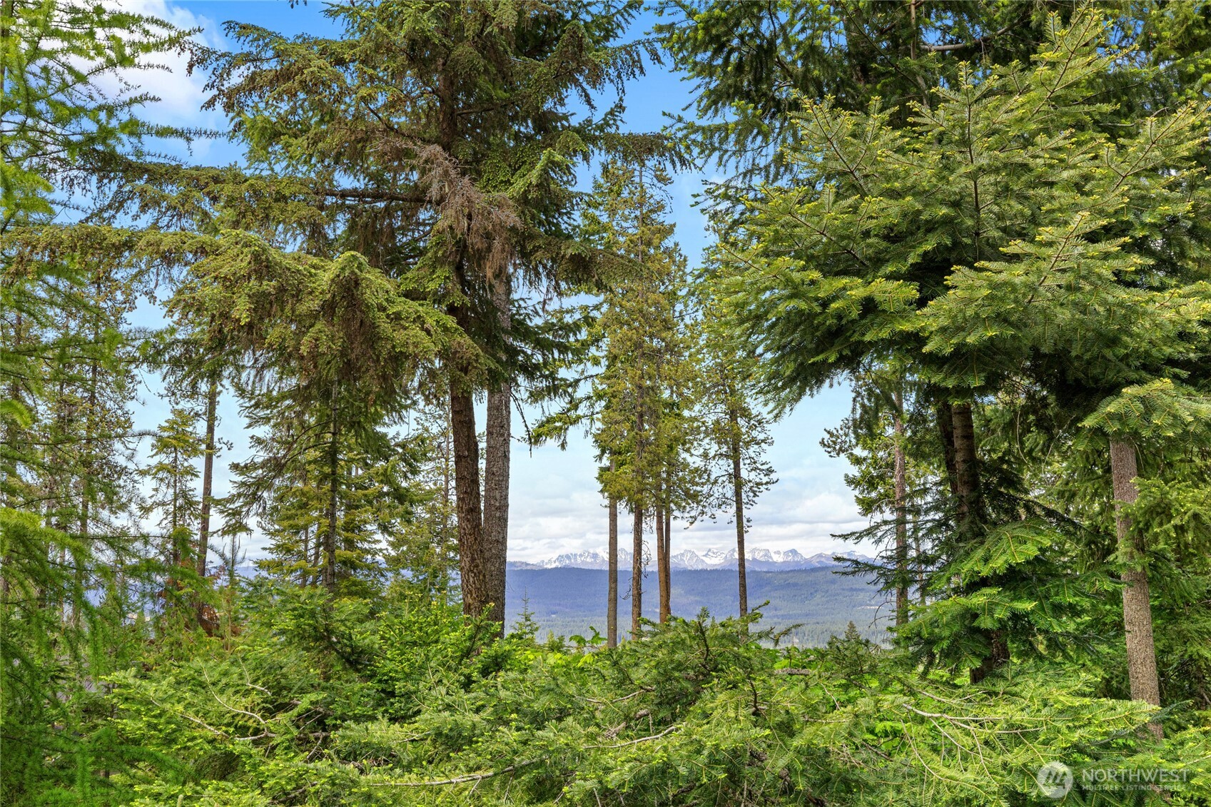 636 Trailside Drive Cle Elum WA 98922