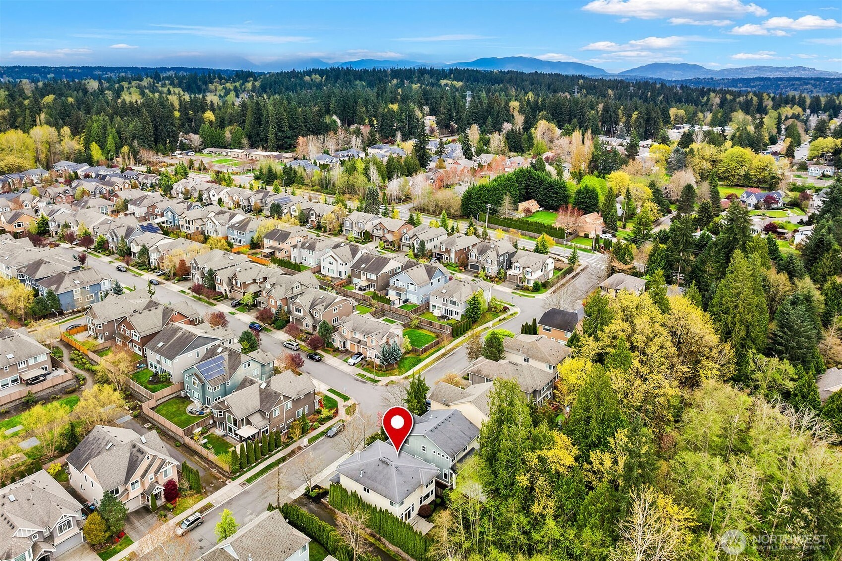 11787 159th Avenue NE Redmond WA 98052
