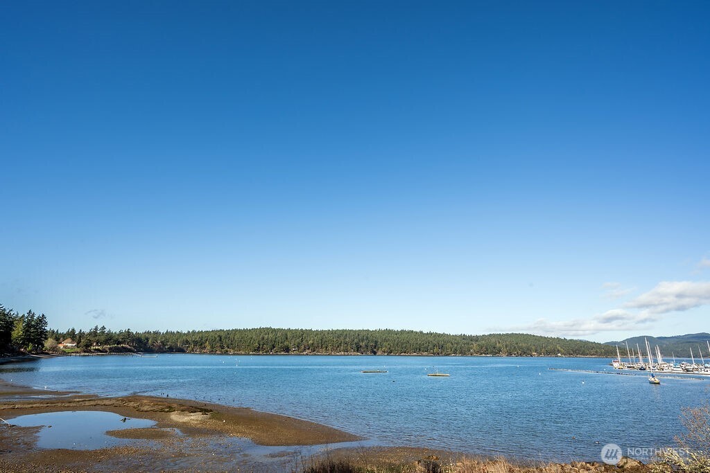 239 Shoreland Drive Lopez Island WA 98261
