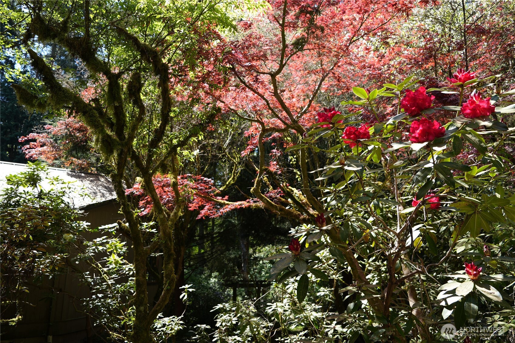4050 Tree Frog Lane Langley WA 98260