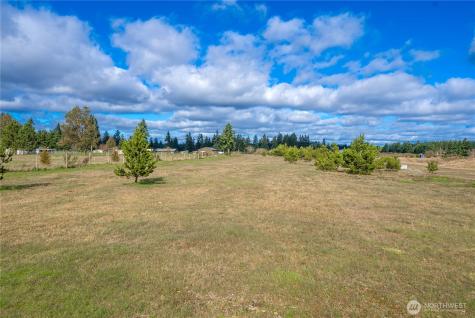 3936 169th Avenue SW Tenino WA 98589