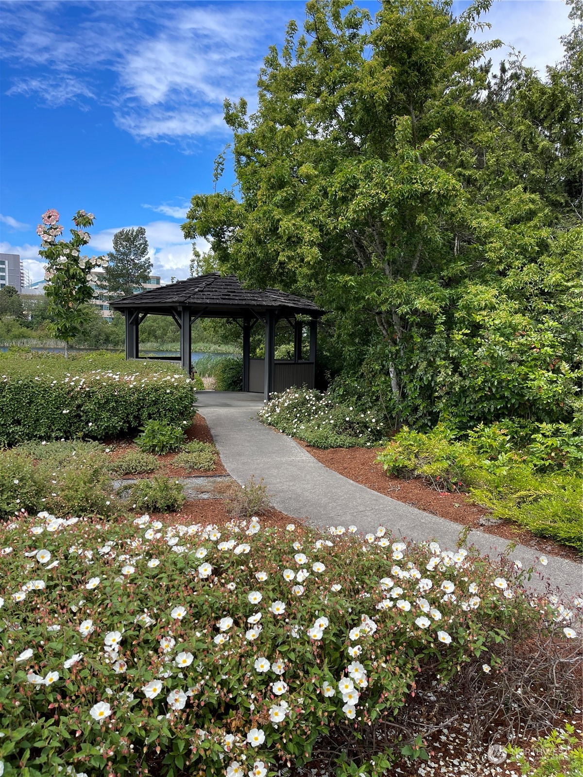 18318 35th Avenue S Seatac WA 98188