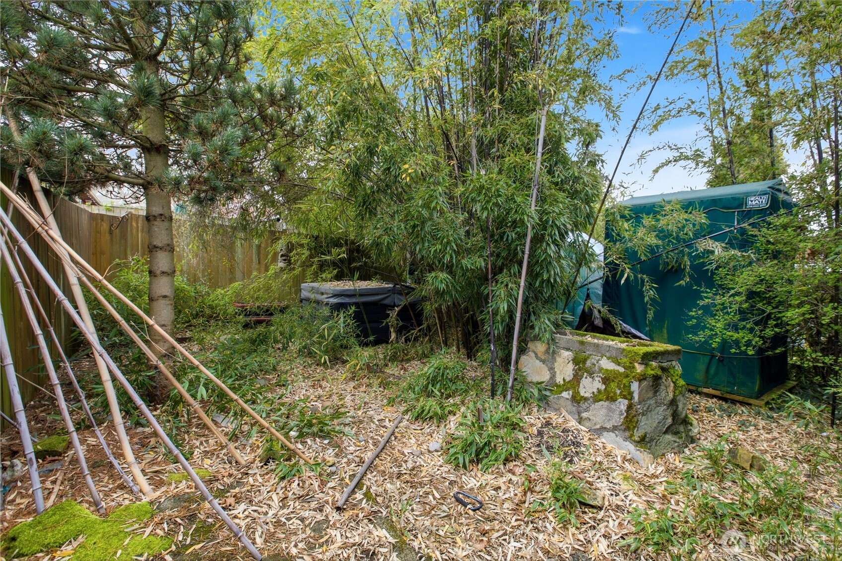 4319 SW Mills Street Seattle WA 98136