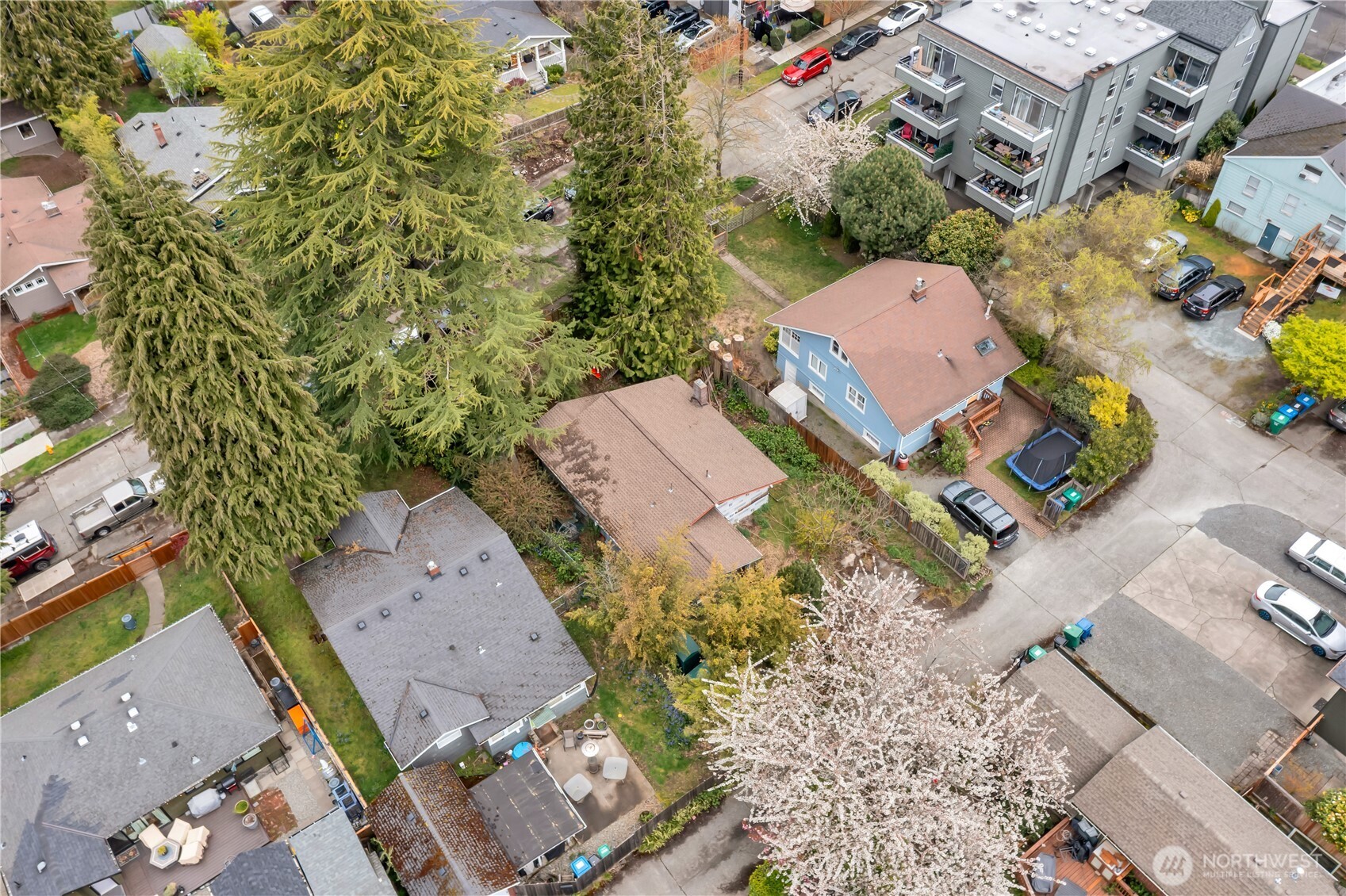 4319 SW Mills Street Seattle WA 98136