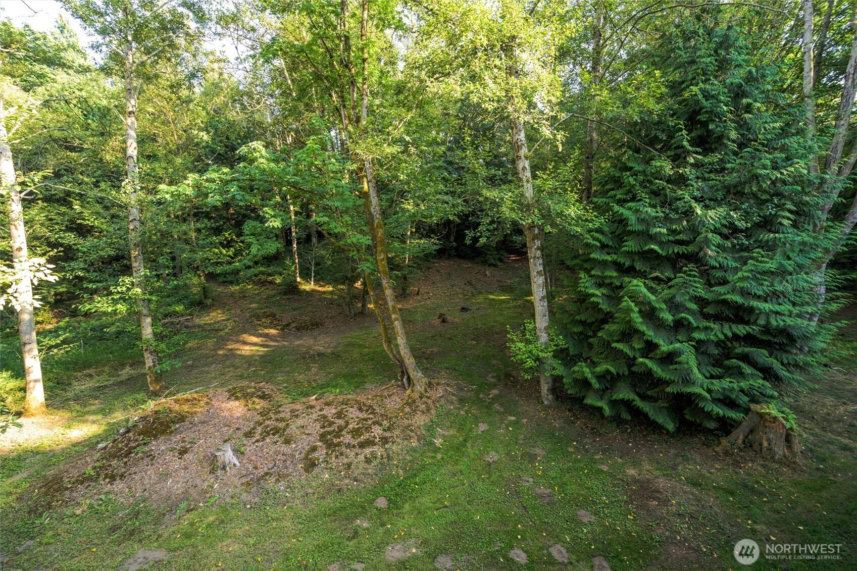 6241 Olson Road Ferndale WA 98248