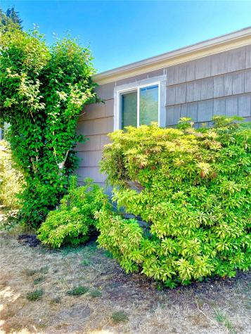 6208 29th Avenue Ne Seattle WA 98115