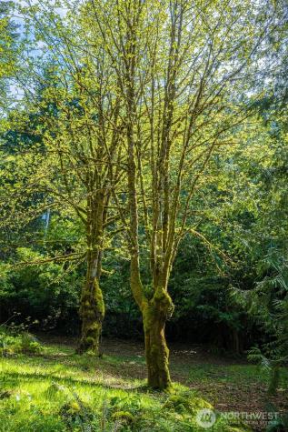 42 Storman Place Port Angeles WA 98363