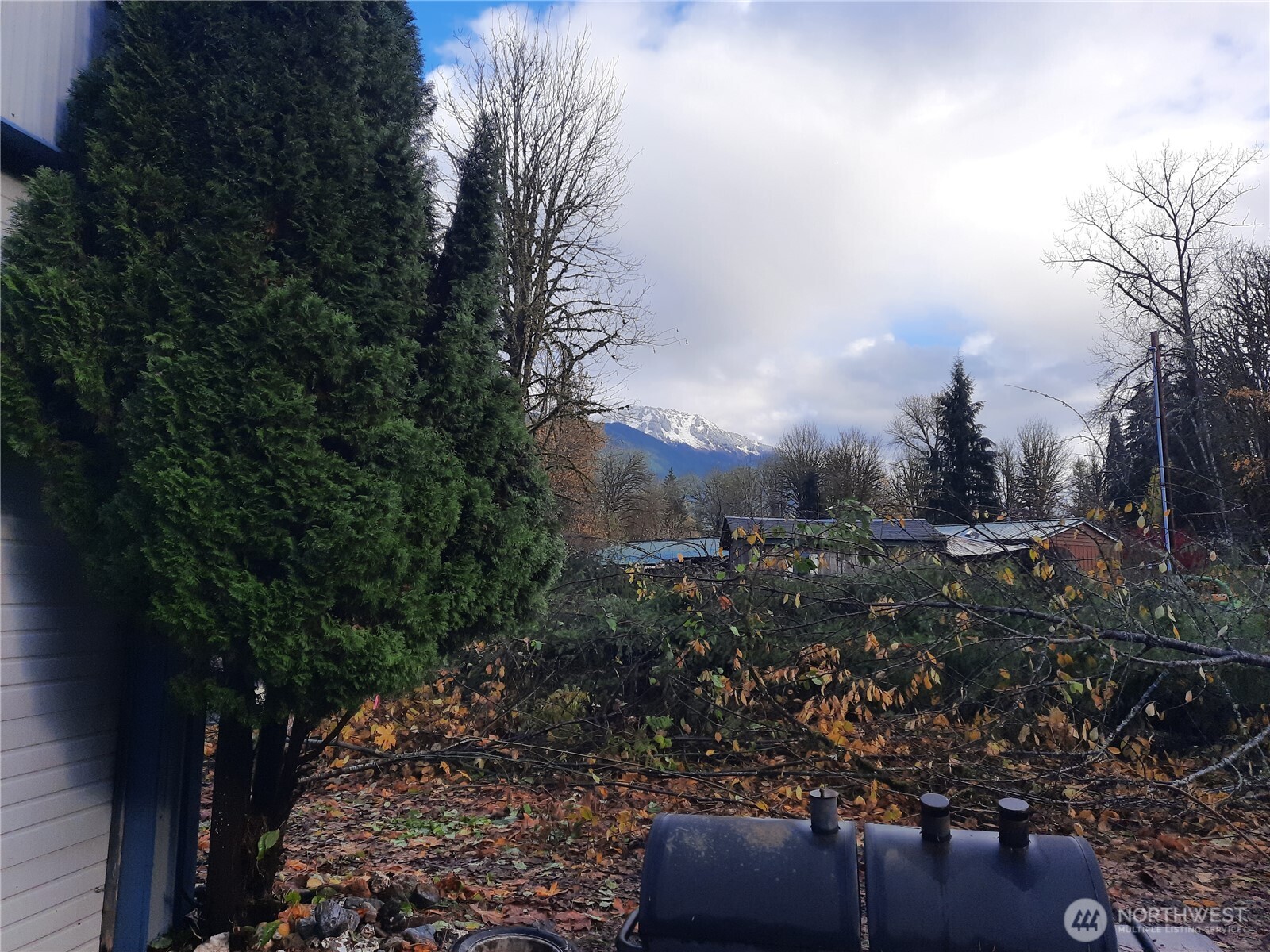 9202 Thunderbird Lane Concrete WA 98237