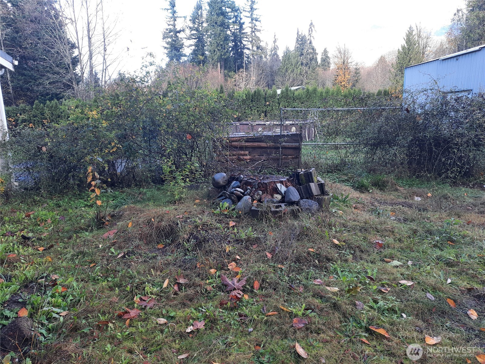 9202 Thunderbird Lane Concrete WA 98237