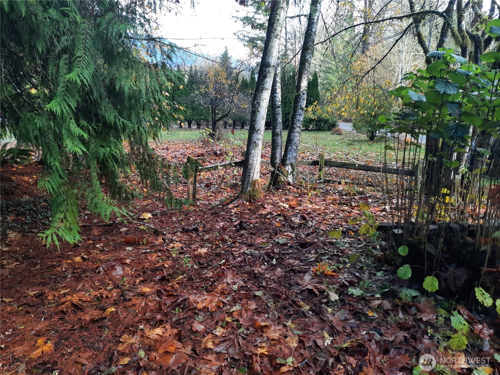 9202 Thunderbird Lane Concrete WA 98237