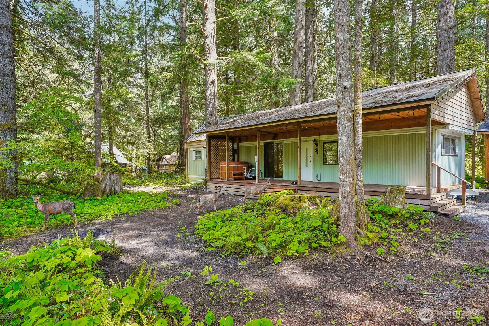 56620 381st Avenue Ct E Ashford WA 98304