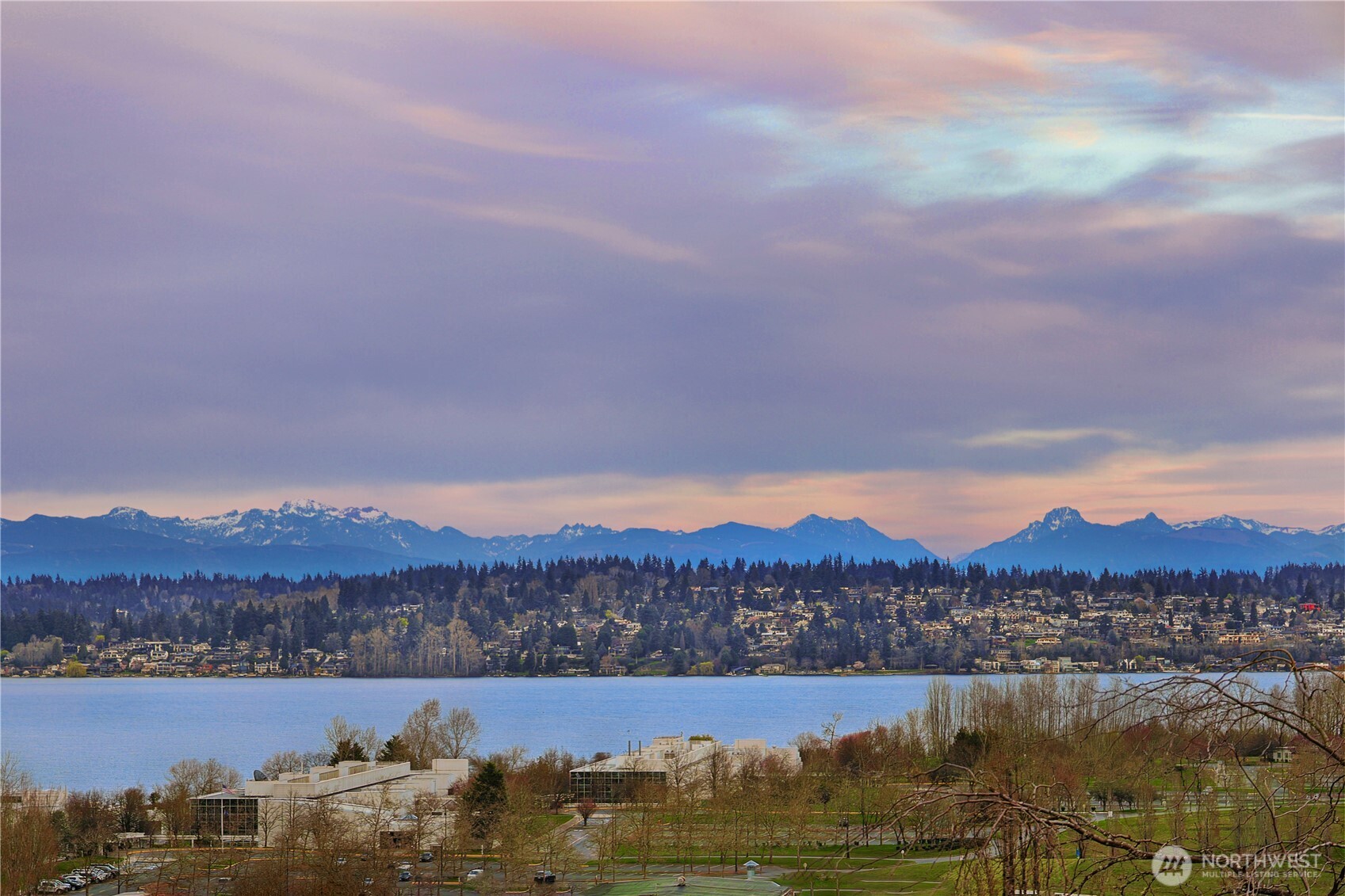 7710 57th Avenue NE Seattle WA 98115