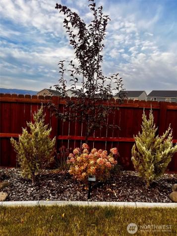 2980 Longhorn Loop Ellensburg WA 98926