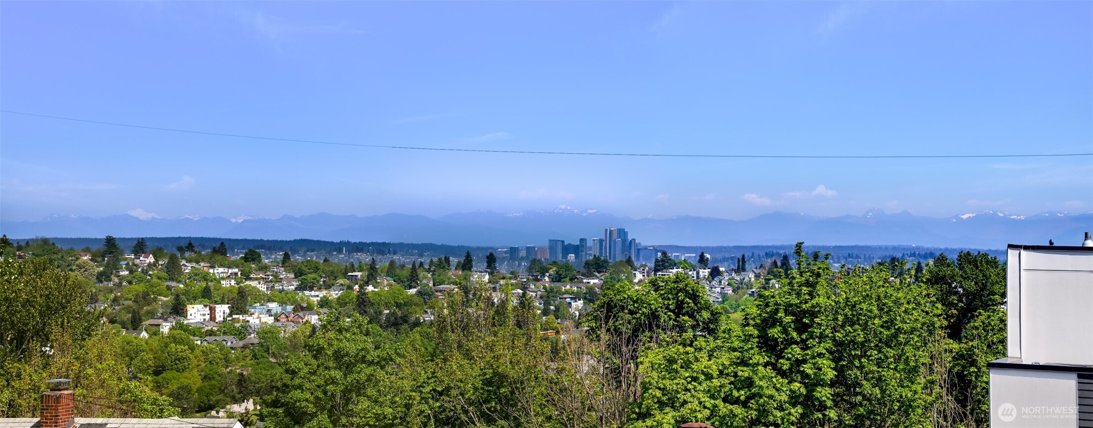 1769 14th Avenue S Seattle WA 98144