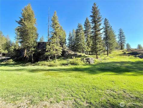 1092 Aeneas Valley Road Tonasket WA 98855