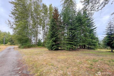 3951 S Tyler Road Port Angeles WA 98363