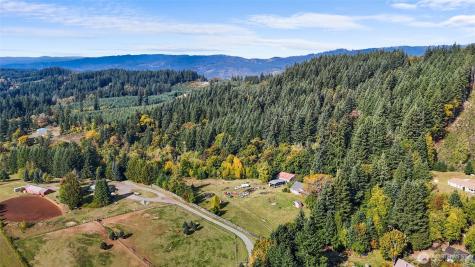 39812 94th Avenue La Center WA 98629