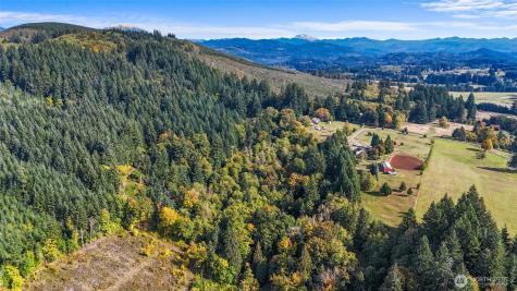 39812 94th Avenue La Center WA 98629
