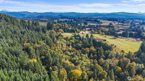 39812 94th Avenue La Center WA 98629