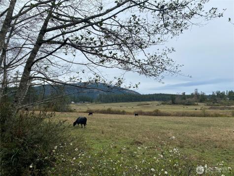 4263 Orcas Road Orcas Island WA 98245
