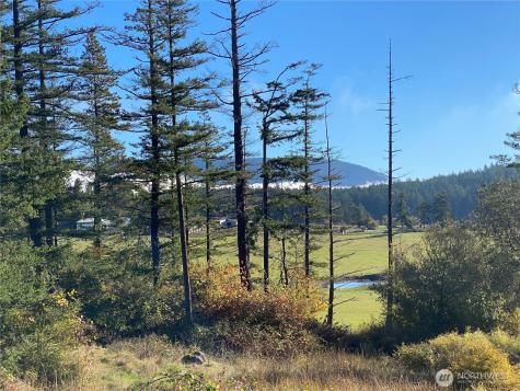4263 Orcas Road Orcas Island WA 98245