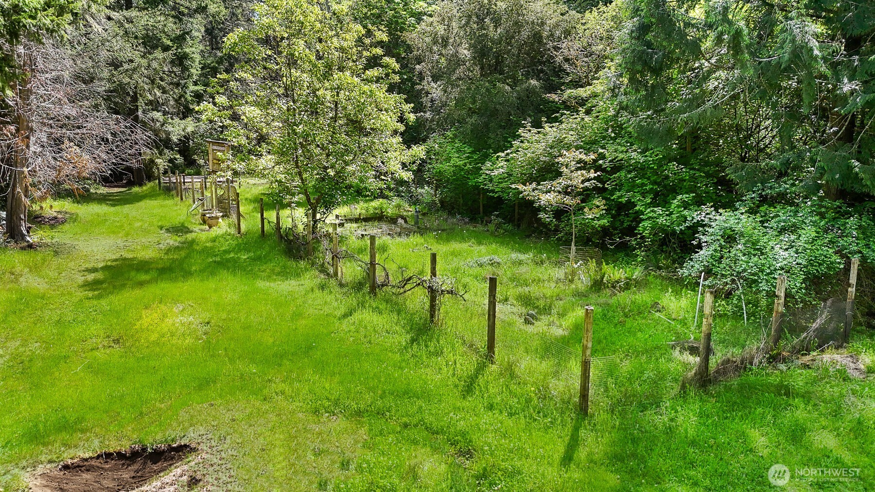 Yelm WA 98597