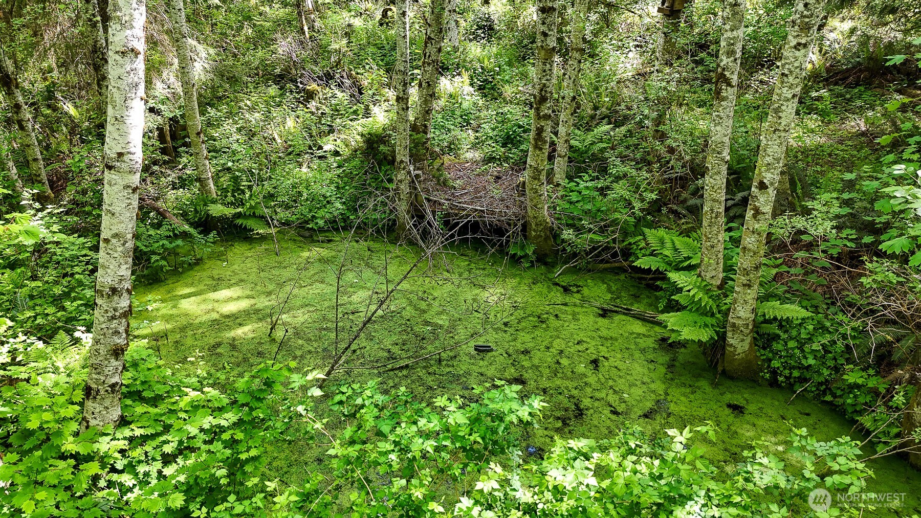 Yelm WA 98597