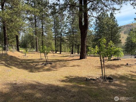 32765 Rays Place N Davenport WA 99122