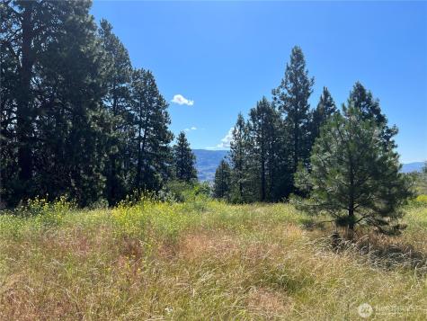 113 Eagles Bluff Road Oroville WA 98844