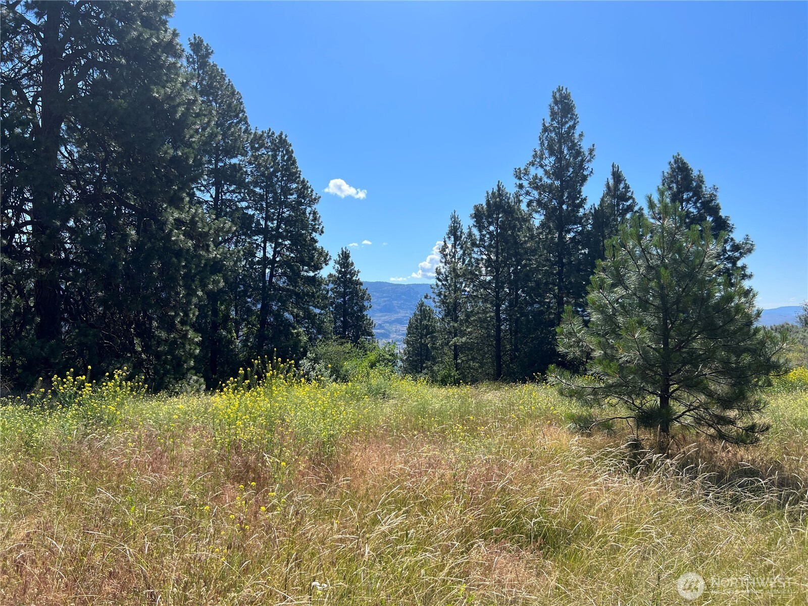 113 Eagles Bluff Road Oroville WA 98844