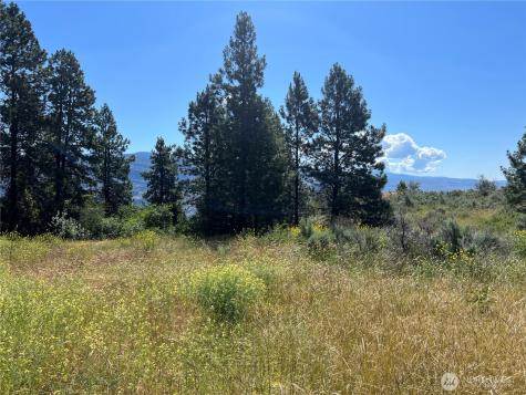 113 Eagles Bluff Road Oroville WA 98844