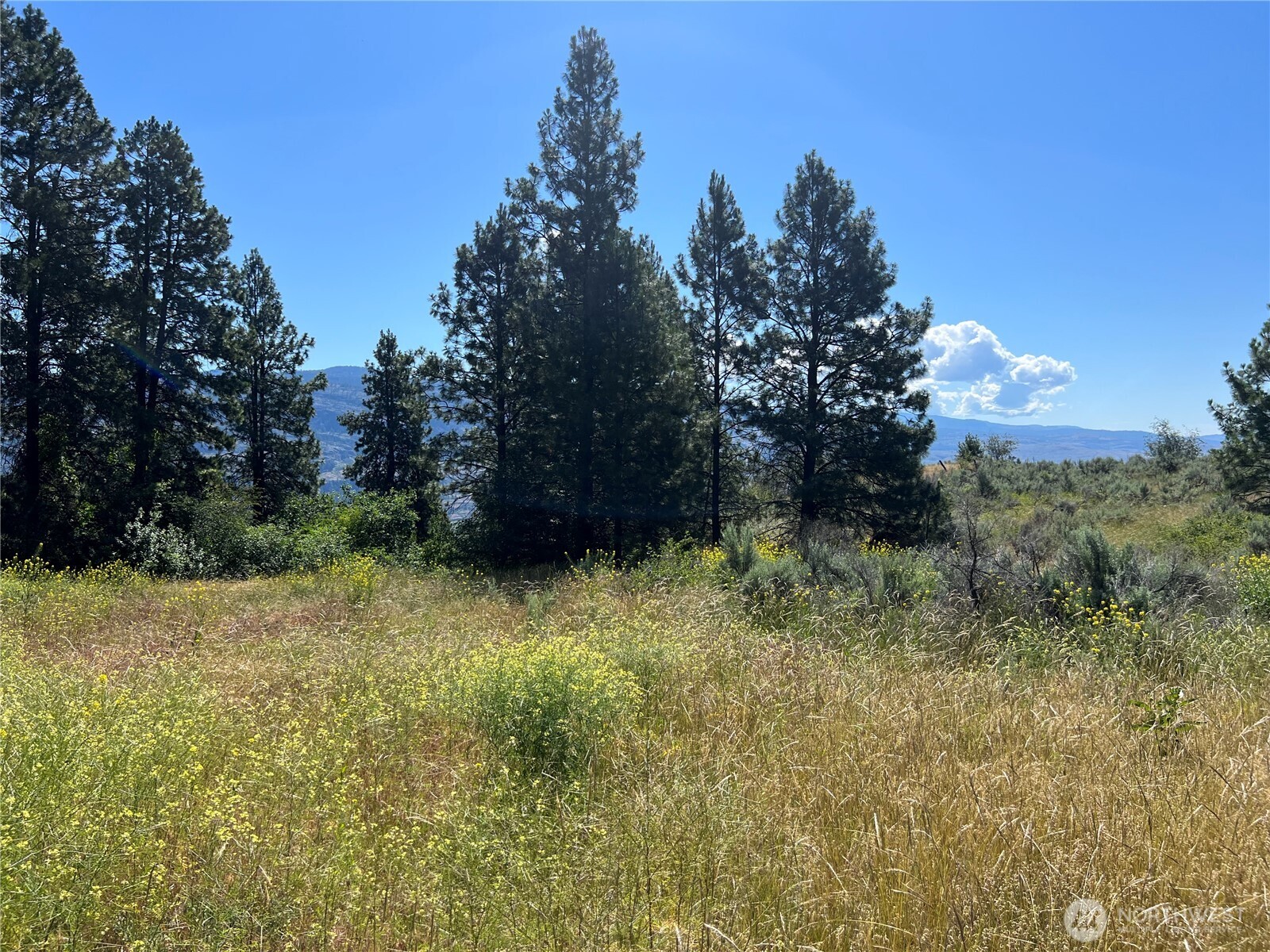 113 Eagles Bluff Road Oroville WA 98844