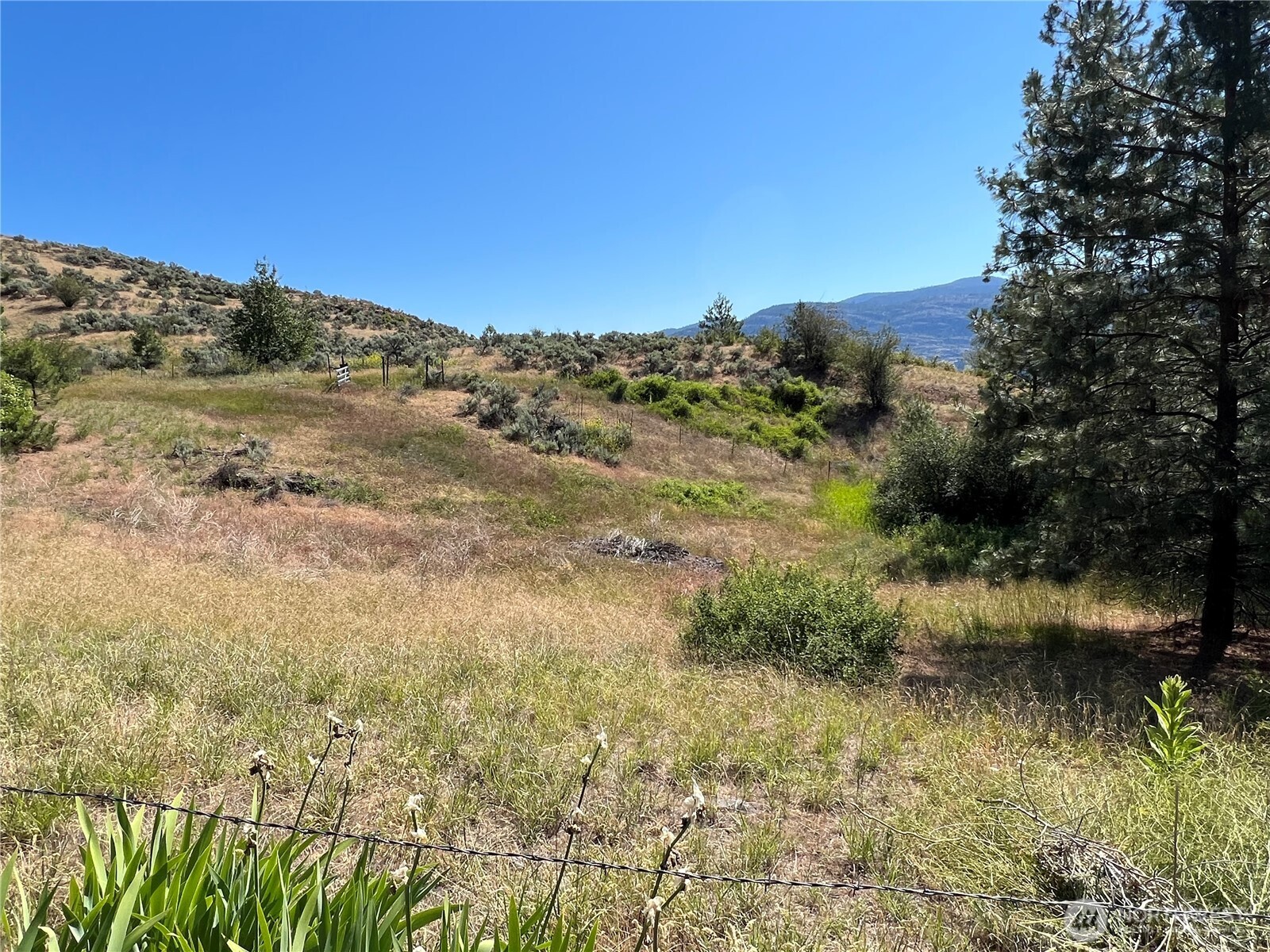 113 Eagles Bluff Road Oroville WA 98844