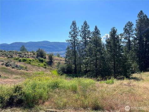 113 Eagles Bluff Road Oroville WA 98844