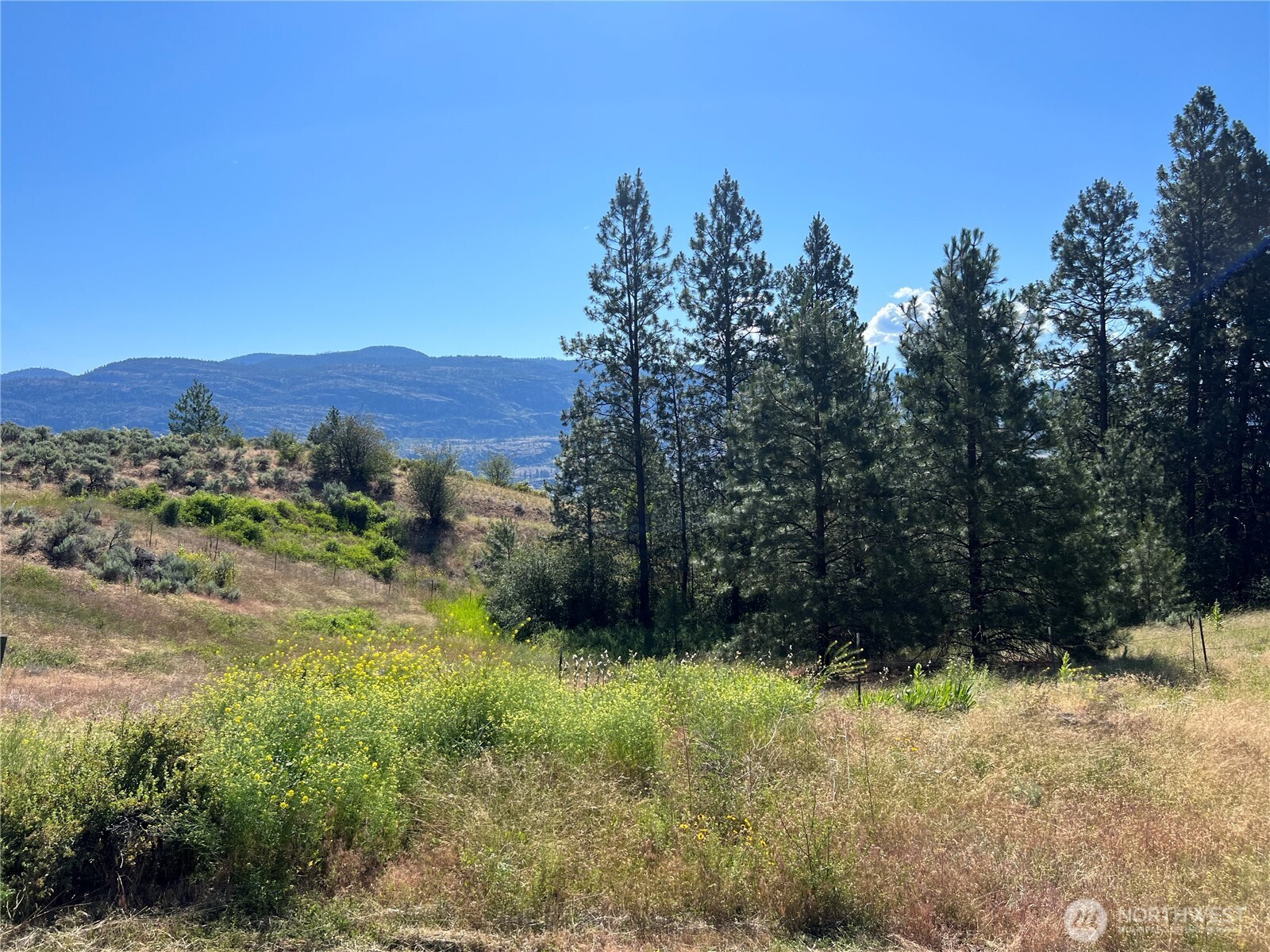 113 Eagles Bluff Road Oroville WA 98844