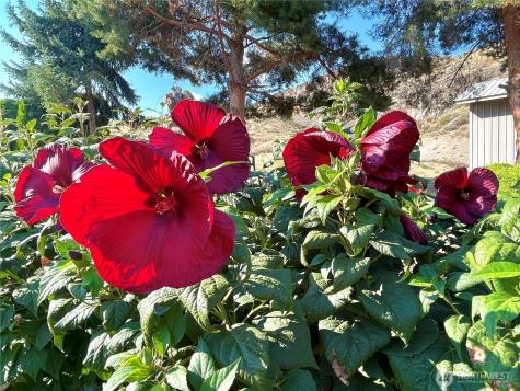 59 Copple Road Omak WA 98841