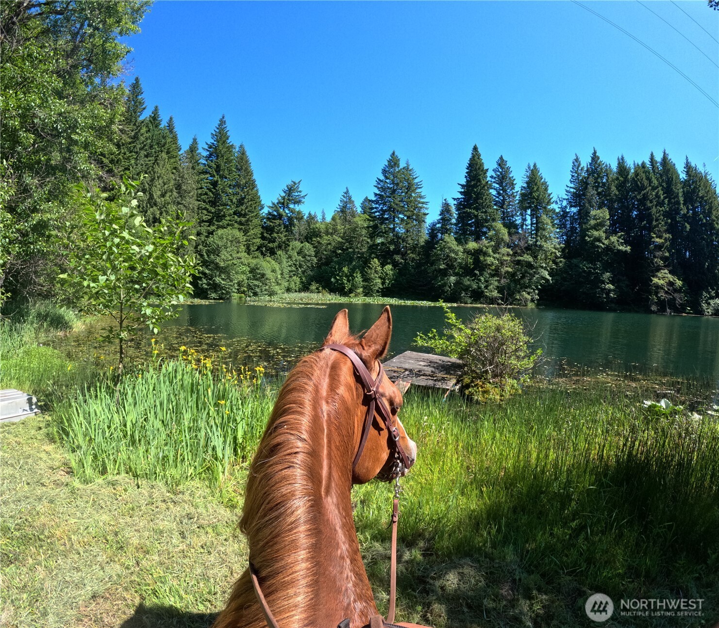 162 Bylin Road Stevenson WA 98648