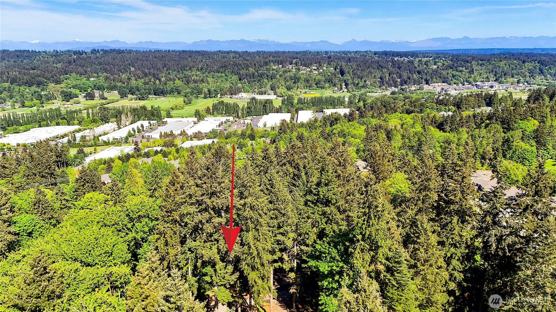 15124 130th Avenue NE Woodinville WA 98072