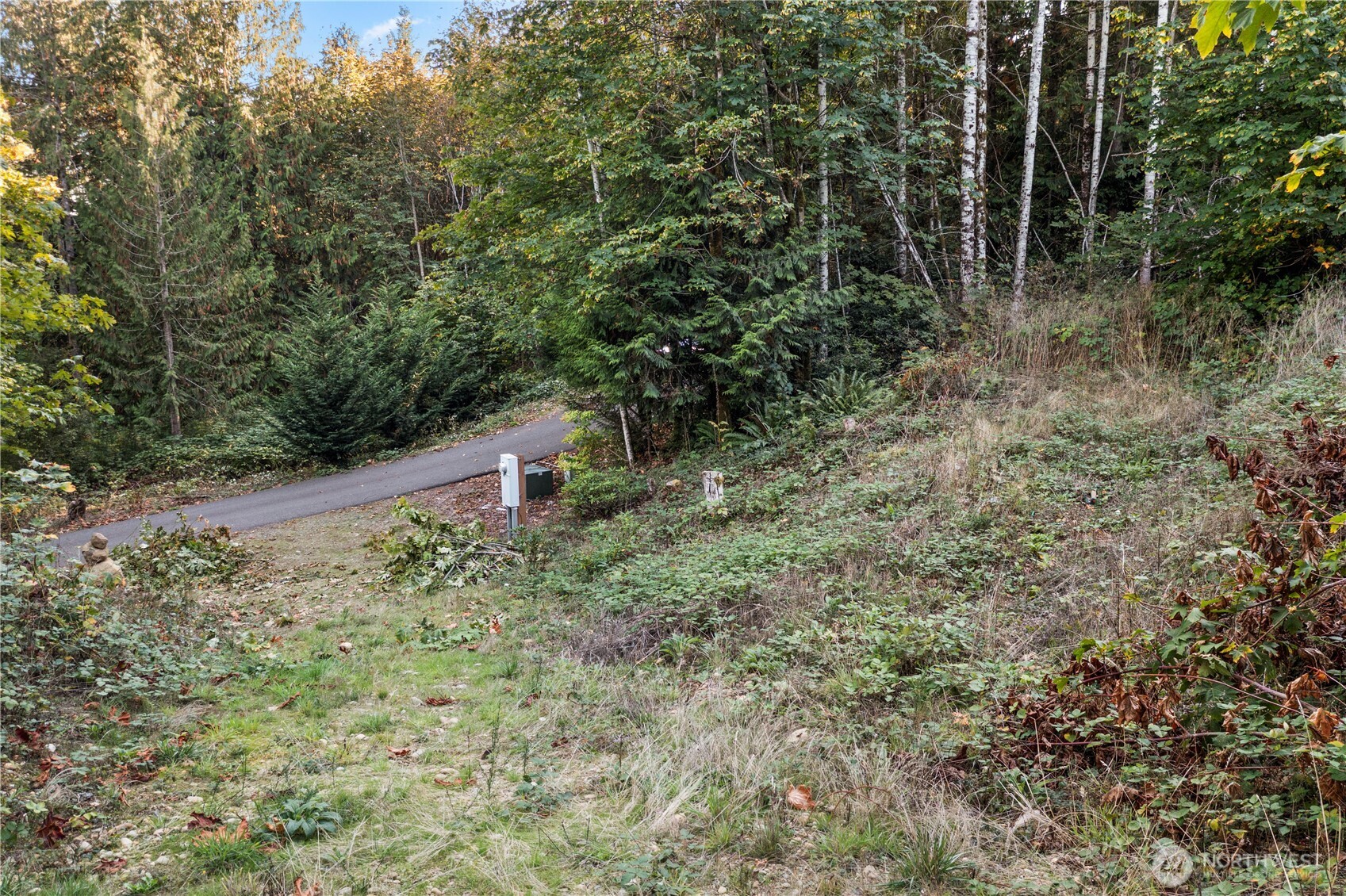 50 N Rustic Ridge Drive Lilliwaup WA 98555