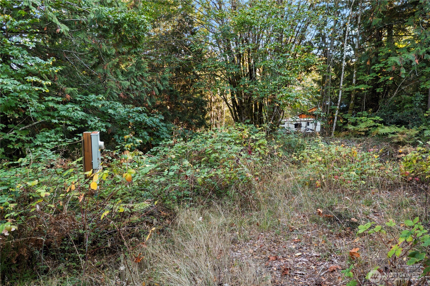 50 N Rustic Ridge Drive Lilliwaup WA 98555