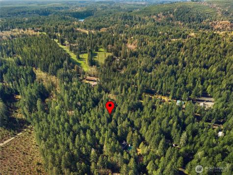 300 N Mount Jupiter Hoodsport WA 98548