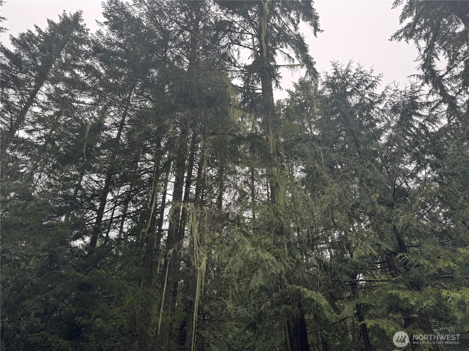 300 N Mount Jupiter Hoodsport WA 98548