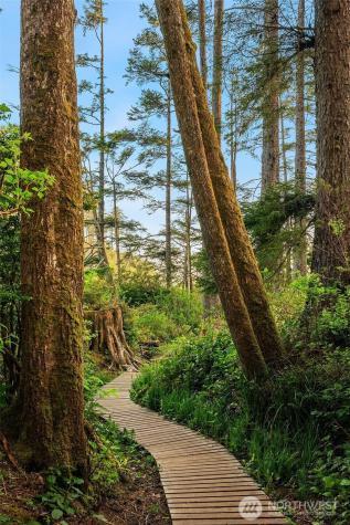 7 Lupine Lane Pacific Beach WA 98571