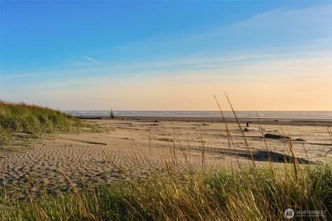 7 Lupine Lane Pacific Beach WA 98571