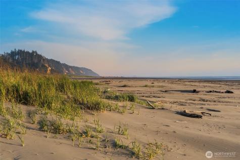 7 Lupine Lane Pacific Beach WA 98571