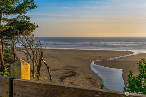 7 Lupine Lane Pacific Beach WA 98571